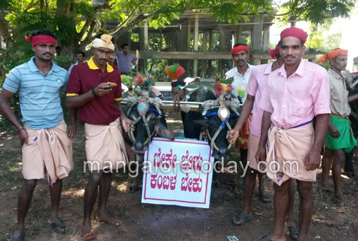 Kambala ban protest 1